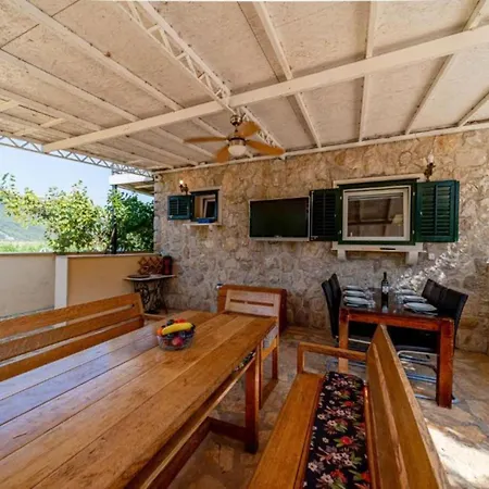 Casa de Férias Olive House