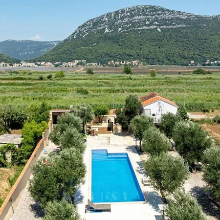 Olive House *