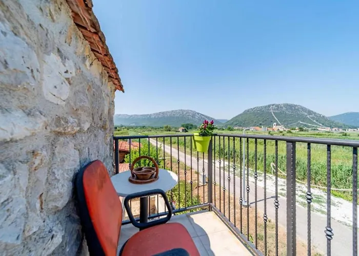 Vakantiehuis Olive House *