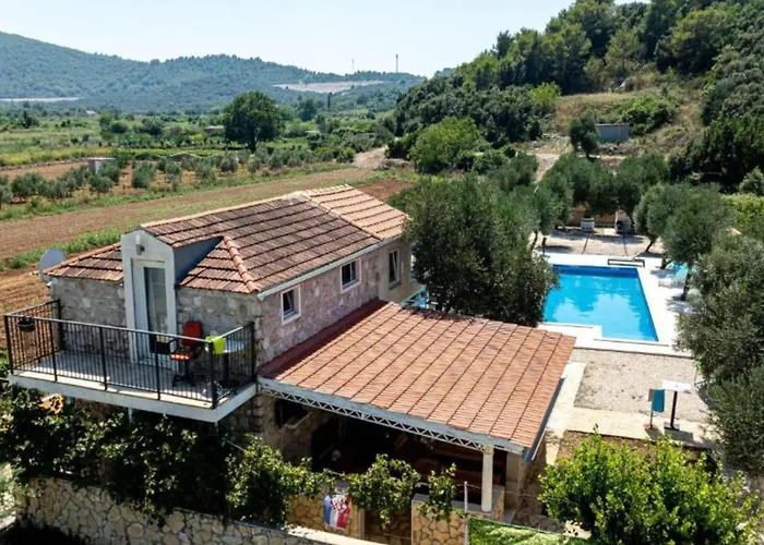 Vakantiehuis Olive House *